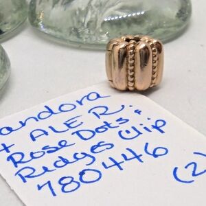 Pandora Rose Dots & Ridges Clip set